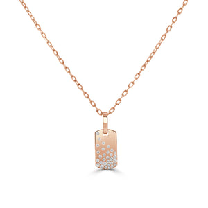 14K Gold Diamond Sprinkle Plate Necklace