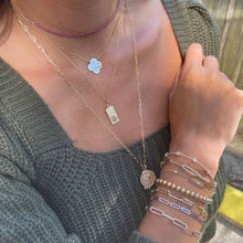 Load image into Gallery viewer, 14k Gold Zodiac Dog Tag Necklace
