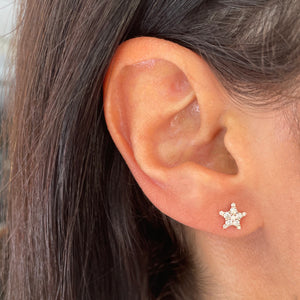 14k Gold & Diamond Star Stud Earrings
