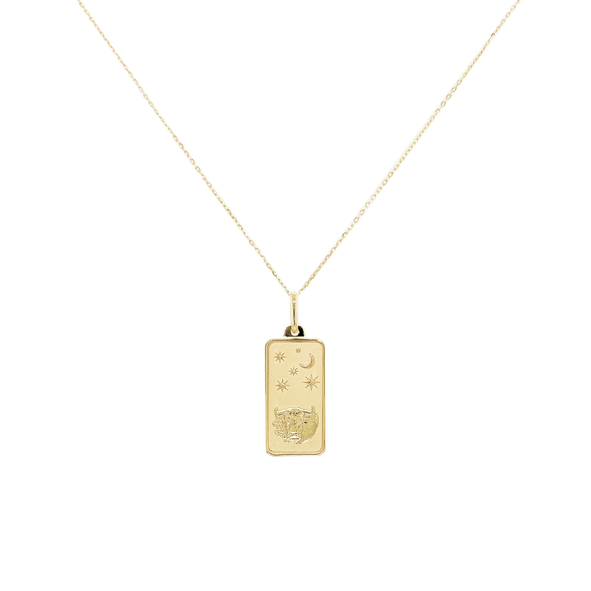 14k Gold Zodiac Dog Tag Necklace Sabrina Design